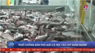 Thuế chống bán phá giá cá tra Việt Nam vào Mỹ giảm mạnh