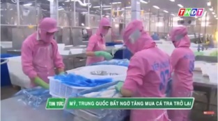 [Video] Mỹ, Trung Quốc bất ngờ tăng mua cá tra trở lại