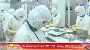 [Video] Kỳ vọng thị trường xuất khẩu tôm