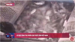 [Video] Cơ hội tăng thị phần cho thủy sản Việt Nam