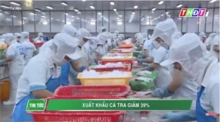 [Video] Xuất khẩu cá tra giảm 39%