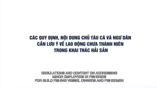 [Video] Các quy định, nội dung chủ tàu  ngư dân cần lưu ý về LĐ chưa thành niên trong khai thác hải sản