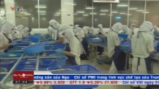 [Video] USD tăng đột biến, doanh nghiệp thuỷ sản lao đao