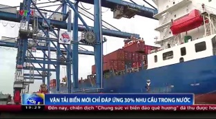 Vận tải biển mới chỉ đáp ứng 30% trăm nhu cầu trong nước