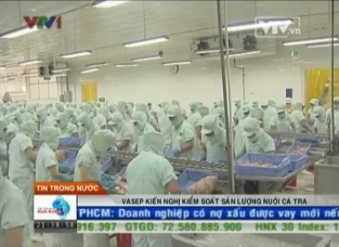 VASEP kiến nghị Chính phủ 2 giải pháp tái cơ cấu SX, tiêu thụ cá tra