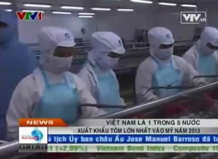 Việt Nam là 1 trong 5 nước xuất khẩu tôm lớn nhất vào Mỹ năm 2013