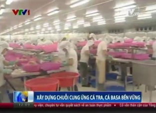Xây dựng chuỗi cung ứng cá tra, basa bền vững