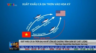 [Video] XK cá da trơn sau khi Mỹ công bố Chương trình giám sát chất lượng