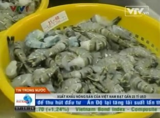 Xuất khẩu nông sản của Việt Nam đạt gần 23 tỉ USD