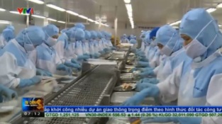 [Video] Xuất khẩu tôm chủ động thay đổi để hội nhập