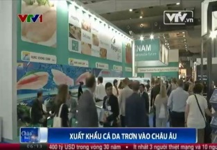 Xuất khẩu cá da trơn vào châu Âu Cần giảm bớt trung gian