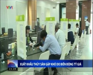 [Video] Xuất khẩu thủy sản gặp khó do biến động tỷ giá