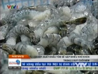 Xuất khẩu tôm sẽ gặp nhiều khó khăn trong 2 quý cuối năm