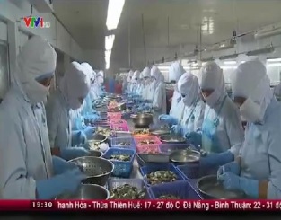 [Video] Ý kiến xung quanh việc WTO ra phán quyết có lợi cho Việt Nam trong vụ kiện tôm