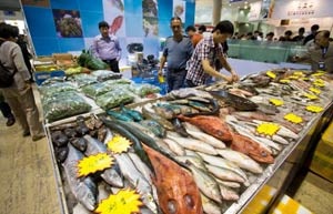 Thay đổi mô hình xuất khẩu của Trung Quốc ảnh hưởng tới thị trường toàn cầu 
