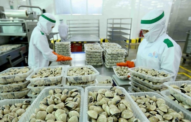 EU tăng nhập khẩu nhuyễn thể hai mảnh vỏ đông lạnh từ Việt Nam 