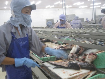 FDA được đề nghị tiếp tục vai trò thanh tra cá tra Việt Nam