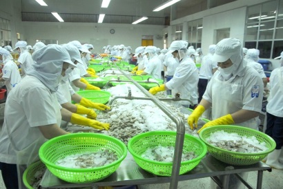 Xuất khẩu thủy sản Bình Định giảm mạnh