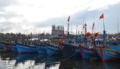 Quyết định 988/QĐ-BNN-TCTS: Công bố Danh sách 38 cảng cá được chỉ định để xác nhận nguồn gốc thủy sản khai thác