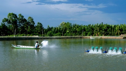WWF kêu gọi tăng cường nuôi tôm thâm canh