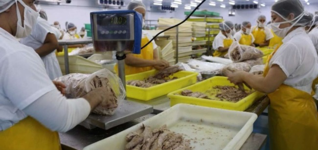 Ecuador tăng xuất khẩu cá ngừ sang Tây Ban Nha