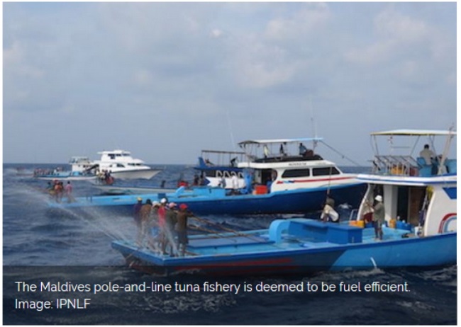 IPNLF ký MoU với các nhà sản xuất, xuất khẩu cá ngừ Maldives