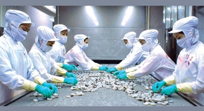 ĐHĐCĐ Thủy sản Minh Phú: Đặt mục tiêu lãi ròng 2017 tăng gấp 10 lần