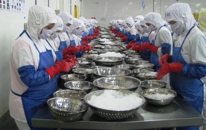 Mỹ chuộng tôm Ấn Độ trong năm 2017