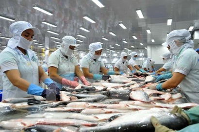 Cá tra Việt Nam và lời bôi nhọ thiếu căn cứ