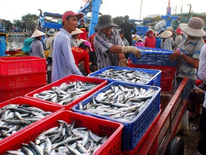 Sáng 12/4/2018 - [HCM]Khóa tập huấn "Phổ biến và trao đổi các bất cập, vướng mắc tại TT02/2018/TT-BNNPTNT và công tác cấp S/C, C/C cho DN XK hải sản khai thác”