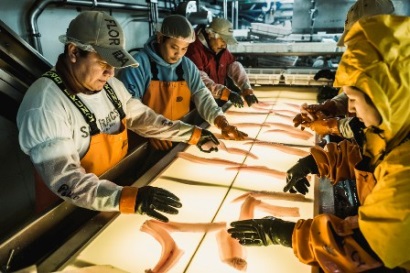 Giá cá minh thái block đạt kỷ lục do Euro giảm giá 