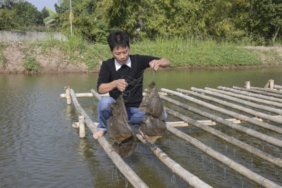 Chuyện về người có bàn 