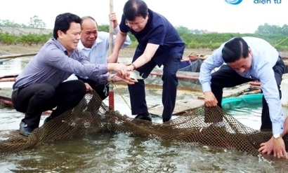 Bộ Nông nghiệp hướng dẫn 4 tỉnh gấp rút ứng phó hải sản chết bất thường