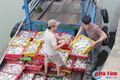 Ông Trần Đình Nam - Shatico: Formosa phải có trách nhiệm với doanh nghiệp