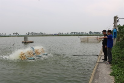 Chủ tịch UBND tỉnh Cà Mau Nguyễn Tiến Hải khảo sát mô hình nuôi tôm công nghệ cao