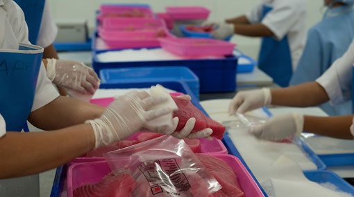 Sri Lanka dự kiến giảm nhập khẩu thủy sản