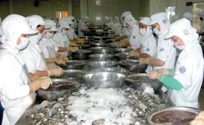 Cà Mau: Xuất khẩu thuỷ sản thêm một năm “lỡ hẹn”