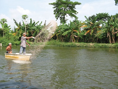 Mời tham dự hội thảo 2: “Công nghệ và giải pháp hiệu quả nâng cao chất lượng, giảm giá thành trong ương giống và nuôi cá tra”