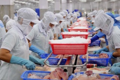 Kim ngạch xuất khẩu thủy sản đạt khoảng 7 tỷ USD