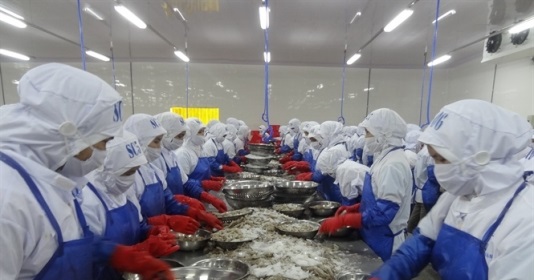 Doanh nghiệp thủy sản chưa bị ảnh hưởng bởi nCoV do xuất sang Trung Quốc bằng đường biển