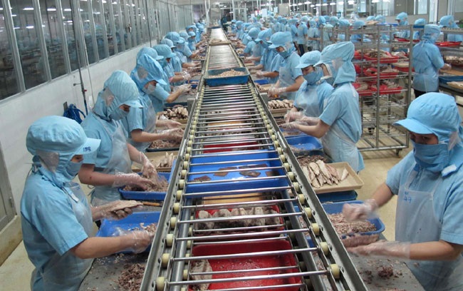 Xuất khẩu cá ngừ Việt Nam sang thị trường lớn bắt đầu khả quan 