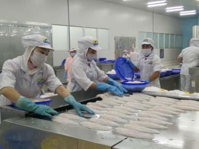 Cá tra Việt Nam tại Mỹ: 1 năm với 2 hàng rào xuất khẩu