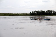 Kiên Giang: Giải pháp phát triển bền vững mô hình lúa – tôm
