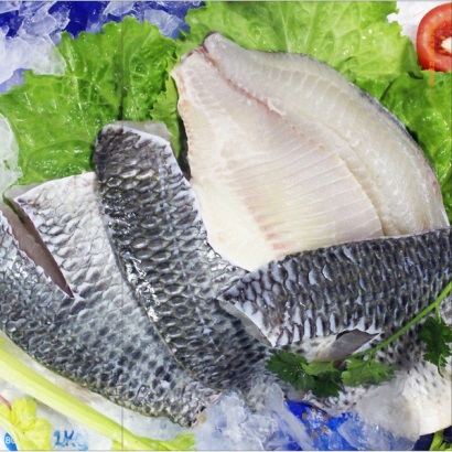 Doanh thu cá rô phi đang hoạt động tốt ở Ecuador, Colombia