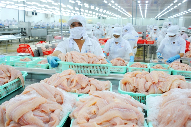 CASEAMEX xuất khẩu cá tra đạt 35 triệu USD