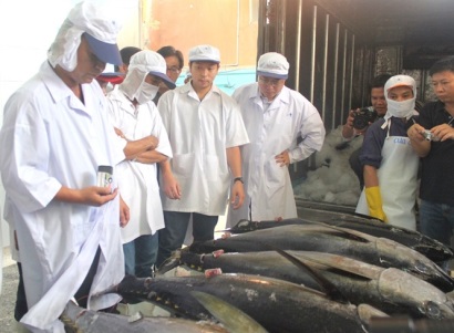 Chuỗi cá ngừ còn điểm nghẽn