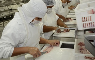Brazil: Công ty GeneSeas mở rộng sản xuất cá rô phi