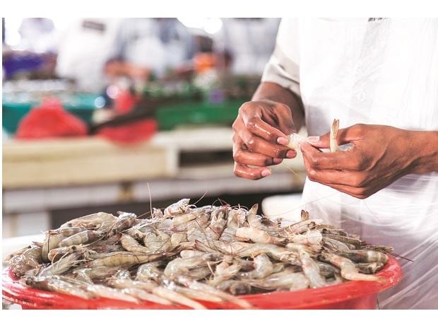 Xuất khẩu tôm của Ấn Độ lao đao do Covid-19