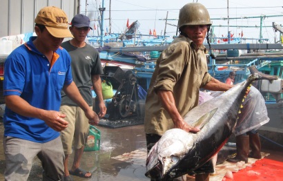 Trúng “lộc biển” đầu năm, ngư dân phấn khởi