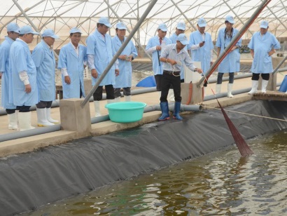 Bình Định tăng năng suất chất lượng tôm thương phẩm bằng công nghệ cao